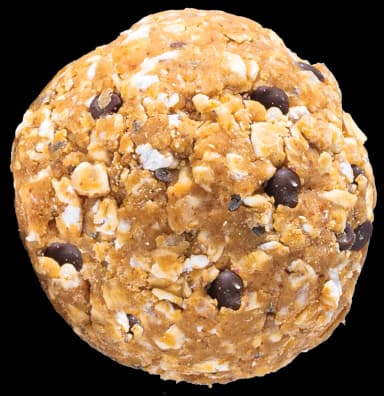 Protein ball