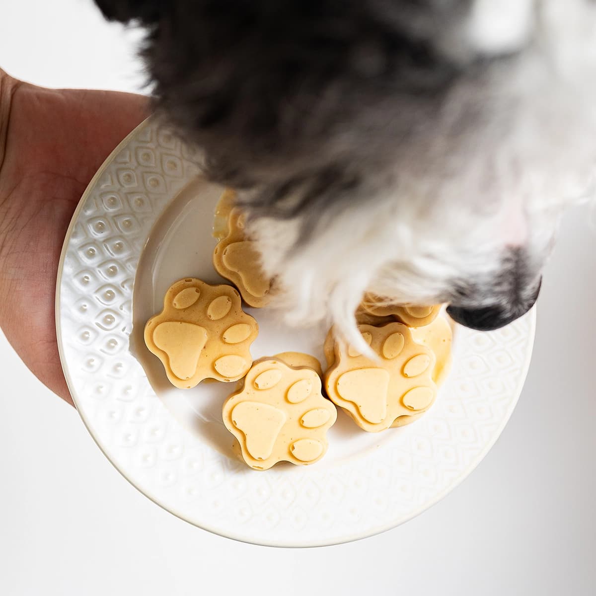 Peanut Butter Banana Pup Pops